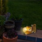 LED соларна лампа коте Näve [1]