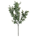 Изкуствено растение евкалипт Mica Decorations [1]