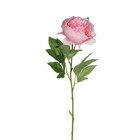 Изкуствено растение роза Mica Decorations [1]