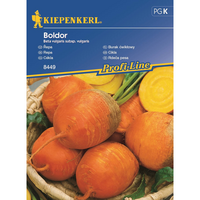 Семена за зеленчуци Kiepenkerl Жълто Цвекло Boldor