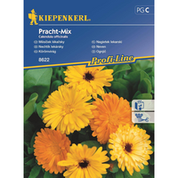 Семена за цветя Kiepenkerl Невен Mix
