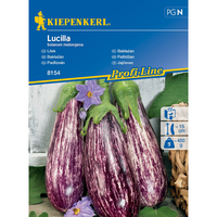 Семена за зеленчуци Kiepenkerl Патладжан Lucilla