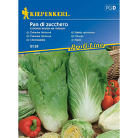 Семена за зеленчуци Kiepenkerl Цикория Pan di Zucchero