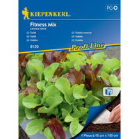 Семена за зеленчуци Kiepenkerl Салата Fitness Mix