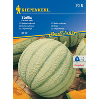 Семена за плодове Kiepenkerl Сладък пъпеш Stellio