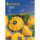 Семена за зеленчуци Kiepenkerl Тиквичка Sunburst [1]