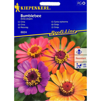 Семена за цветя Kiepenkerl Циния Bumblebee Mix