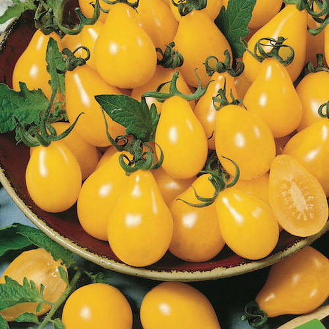 Семена за зеленчуци Kiepenkerl Чери домат Yellow Pearshaped [2]