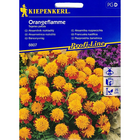Семена за цветя Kiepenkerl Невен Orangeflamme [1]