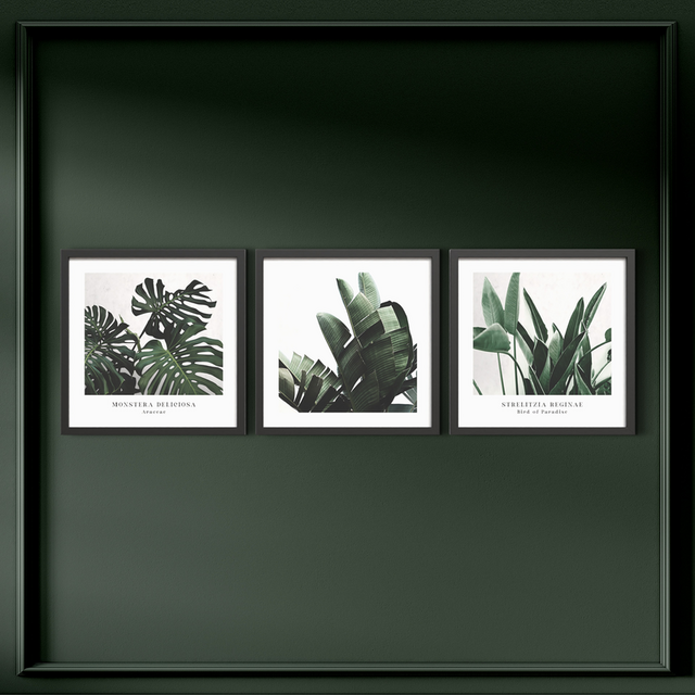 Комплект рамкирани картини Plant [10]