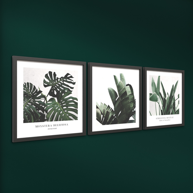 Комплект рамкирани картини Plant [6]