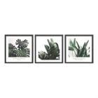 Комплект рамкирани картини Plant [3]