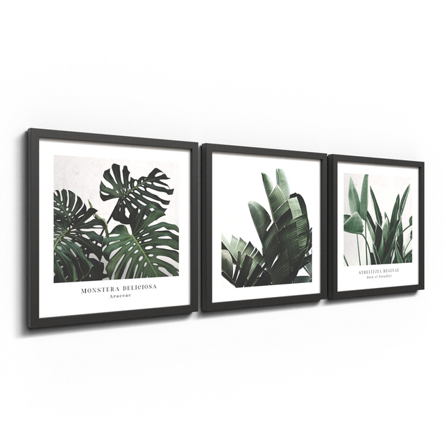 Комплект рамкирани картини Plant [2]