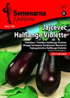 Семена за зеленчуци Semenarna Ljubljana Патладжан Black Beauty