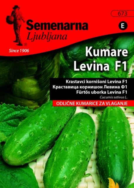 Семена за зеленчуци Semenarna Ljubljana Корнишон Левина F1 [1]