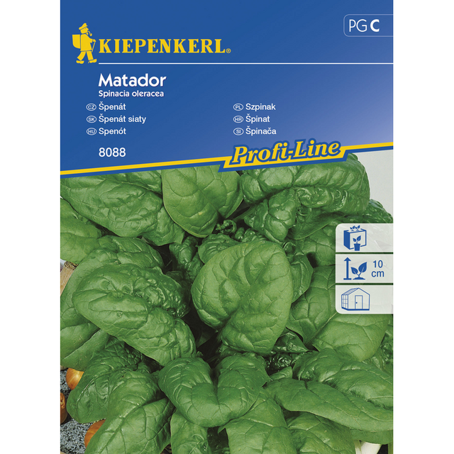 Семена за зеленчуци Kiepenkerl Спанак Matador  [1]