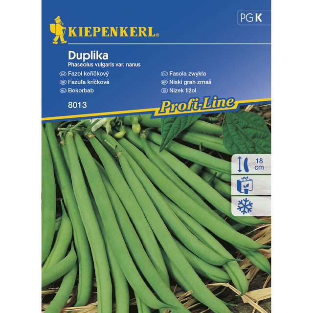 Семена за зеленчуци Kiepenkerl Зелен фасул Duplika [1]