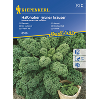 Семена за зеленчуци Kiepenkerl Къдраво зеле Halbhoher