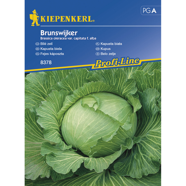 Семена за зеленчуци Kiepenkerl Бяло зеле Brunswijker [1]