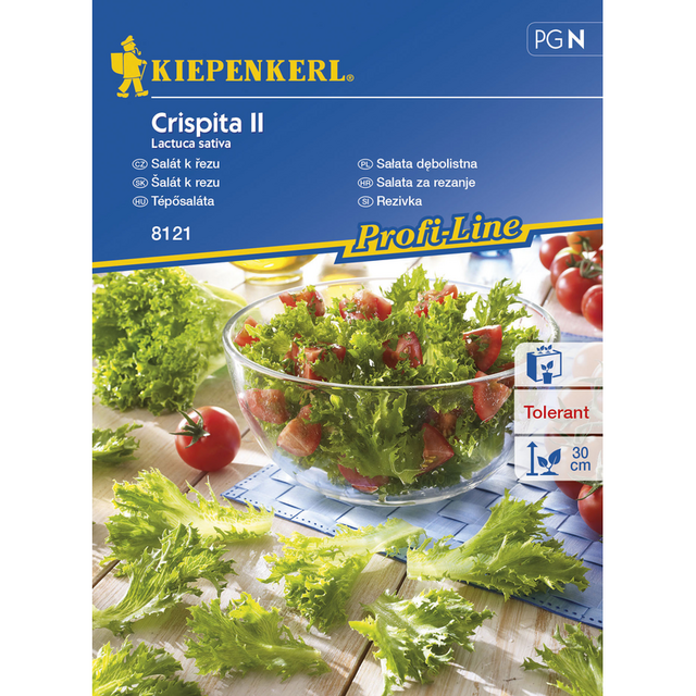Семена за зеленчуци Kiepenkerl Салата Crispita [1]