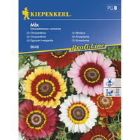 Семена за цветя Kiepenkerl Хризантема Carinatum