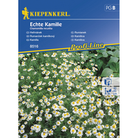 Семена за билки и подправки Kiepenkerl Лайка