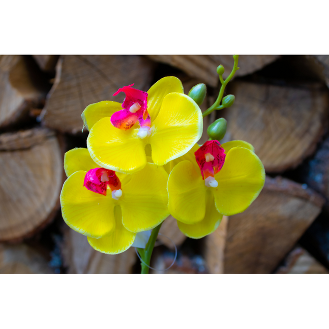 Изкуствено цвете орхидея  [2]