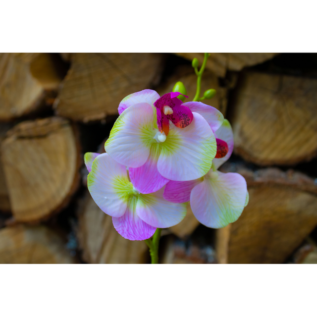 Изкуствено цвете орхидея  [7]