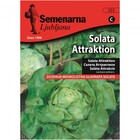 Семена за зеленчуци Semenarna Ljubljana Салата Атракция [1]