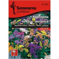 Семена за цветя Semenarna Ljubliana Лимониум