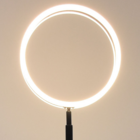 LED стояща лампа Ring Lavida [5]