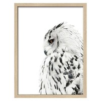 Рамкирана картина ProArt Снежна сова