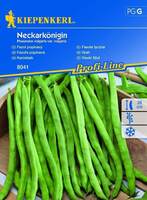 Семена за зеленчуци Kiepenkerl Зелен фасул Neckarkonigin