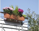 Балконско сандъче за цветя Geli Standart [2]