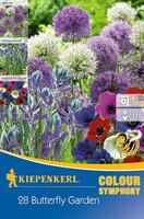 Луковици алиум, анемонии и прерийни лилии Kiepenkerl Color Symphony Butterfly Garden