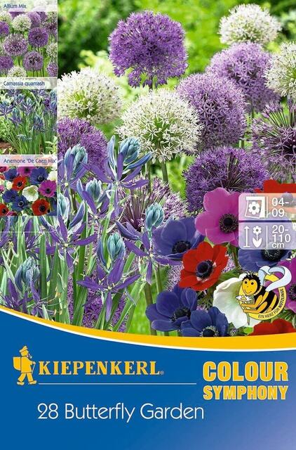 Луковици алиум, анемонии и прерийни лилии Kiepenkerl Color Symphony Butterfly Garden [1]