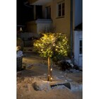 Коледна LED светлинна верига Tween Light [12]
