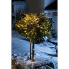 Коледна LED светлинна верига Tween Light [6]