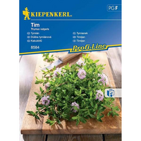 Семена за билки и подправки Kiepenkerl Мащерка TIM