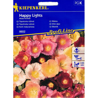 Семена за цветя Kiepenkerl Happy Lights Градинска Ружа 