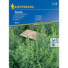 Семена за билки и подправки Kiepenkerl Естрагон Samira [1]