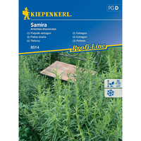 Семена за билки и подправки Kiepenkerl Естрагон Samira