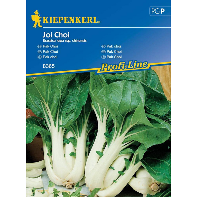 Семена за зеленчуци Kiepenkerl Китайско зеле Pak Joi Choi [1]