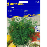 Семена за билки и подправки Kiepenkerl Копър Tetra