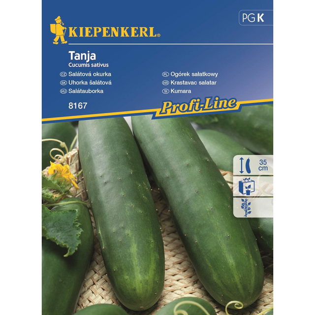 Семена за зеленчуци Kiepenkerl Краставица Tanja [1]