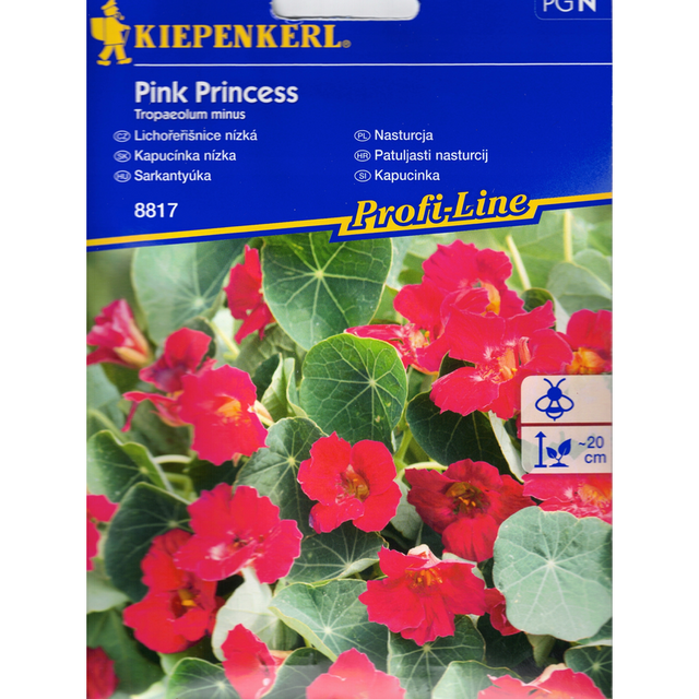 Семена за цветя Kiepenkerl Латинка Pink Princess [1]