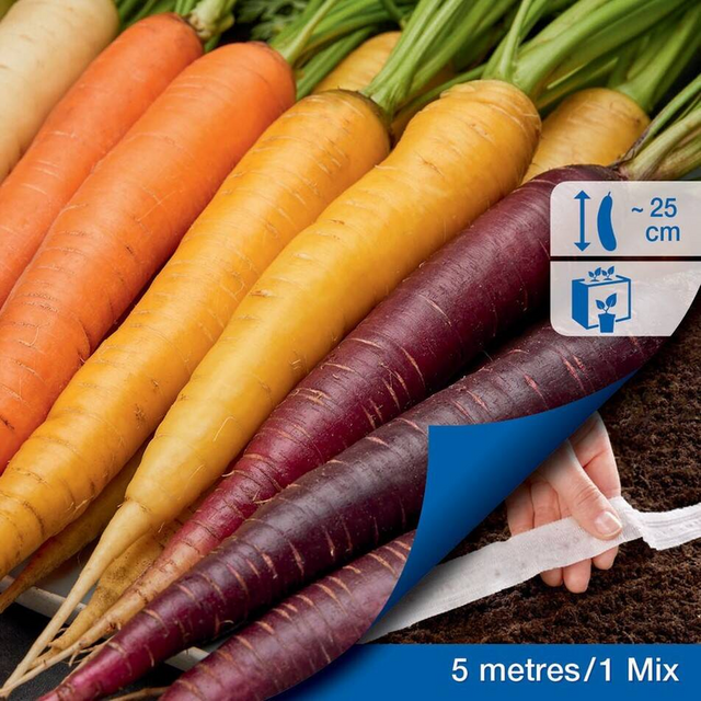 Семена за зеленчуци Kiepenkerl Моркови Harlequin Mix [2]