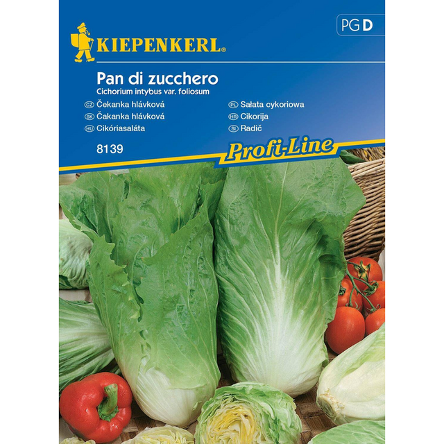 Семена за зеленчуци Kiepenkerl Цикория Pan di Zucchero [1]
