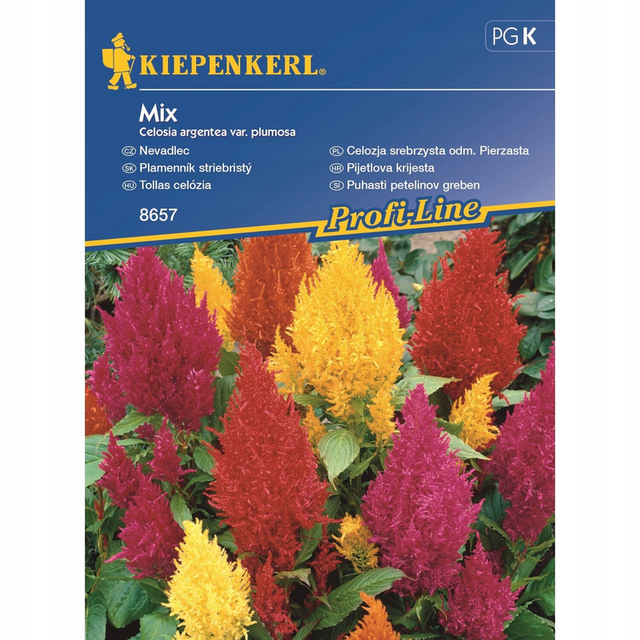 Семена за цветя Kiepenkerl Целозия Plumosa Pinasta Mix [1]