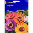 Семена за цветя Kiepenkerl Циния Bumblebee Mix [1]